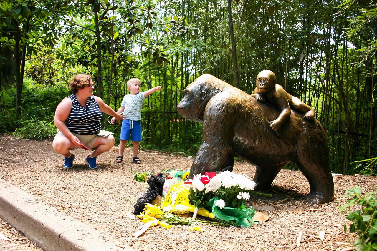 Ravnatelj zoološkog vrta Cincinnati, Thane Maynard obratio se javnosti 