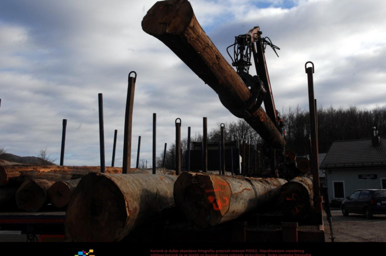 'drvo_pxl_unu_300111'