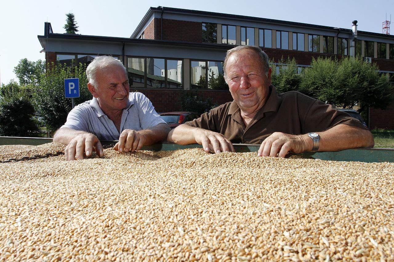 Čakovečki mlinovi počinju s otkupom pšenice