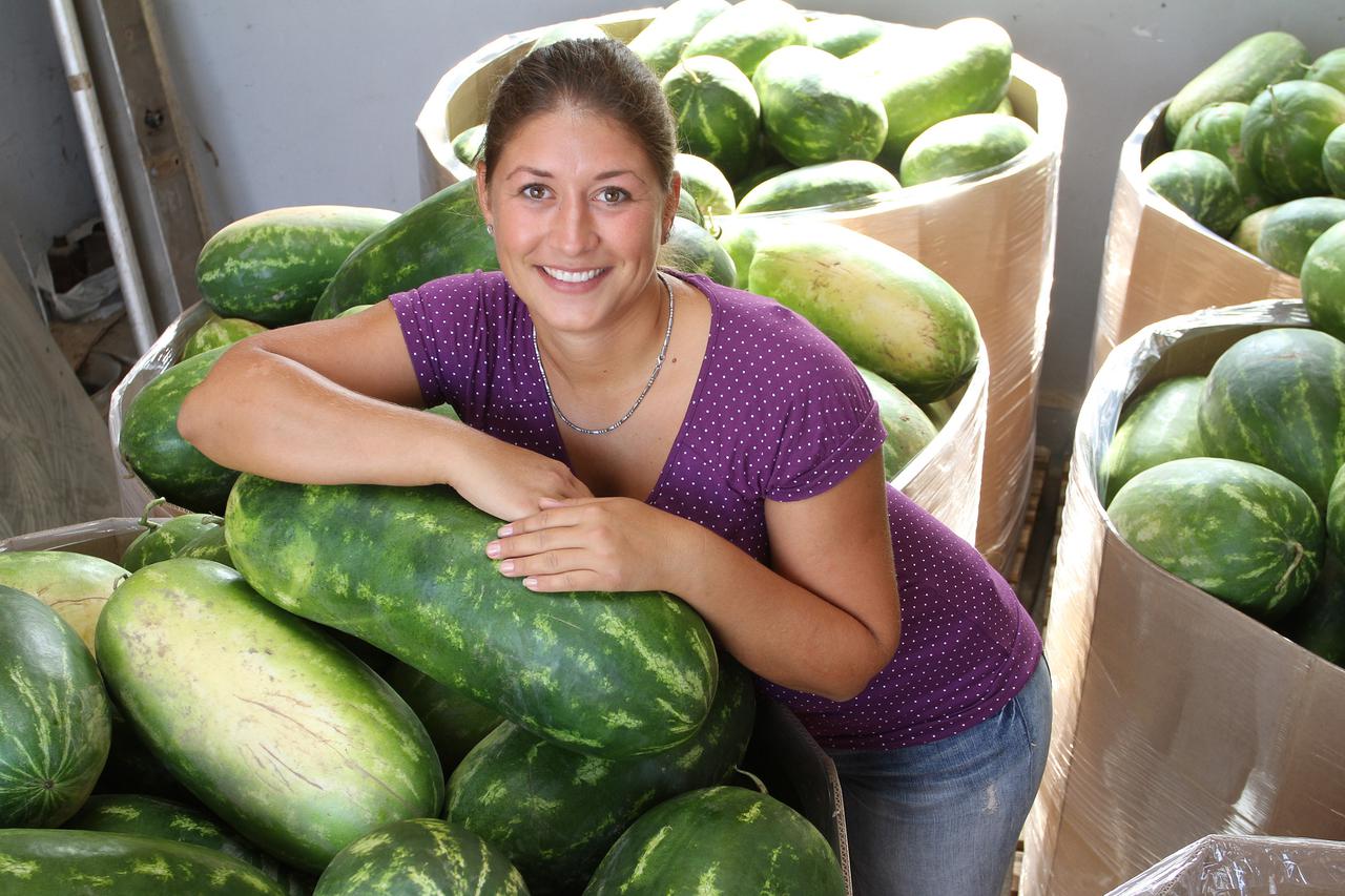 25.08.2015 Karlovac - Obitelj Prpic iz sela Brezani na svom imanju proizvode jagode, batate, tikvice, a trenutno je sezona lubenica. Planiraju ubrati 4 tone sto je zbog suse manje od planiranog. Photo: Kristina Stedul Fabac/PIXSELL