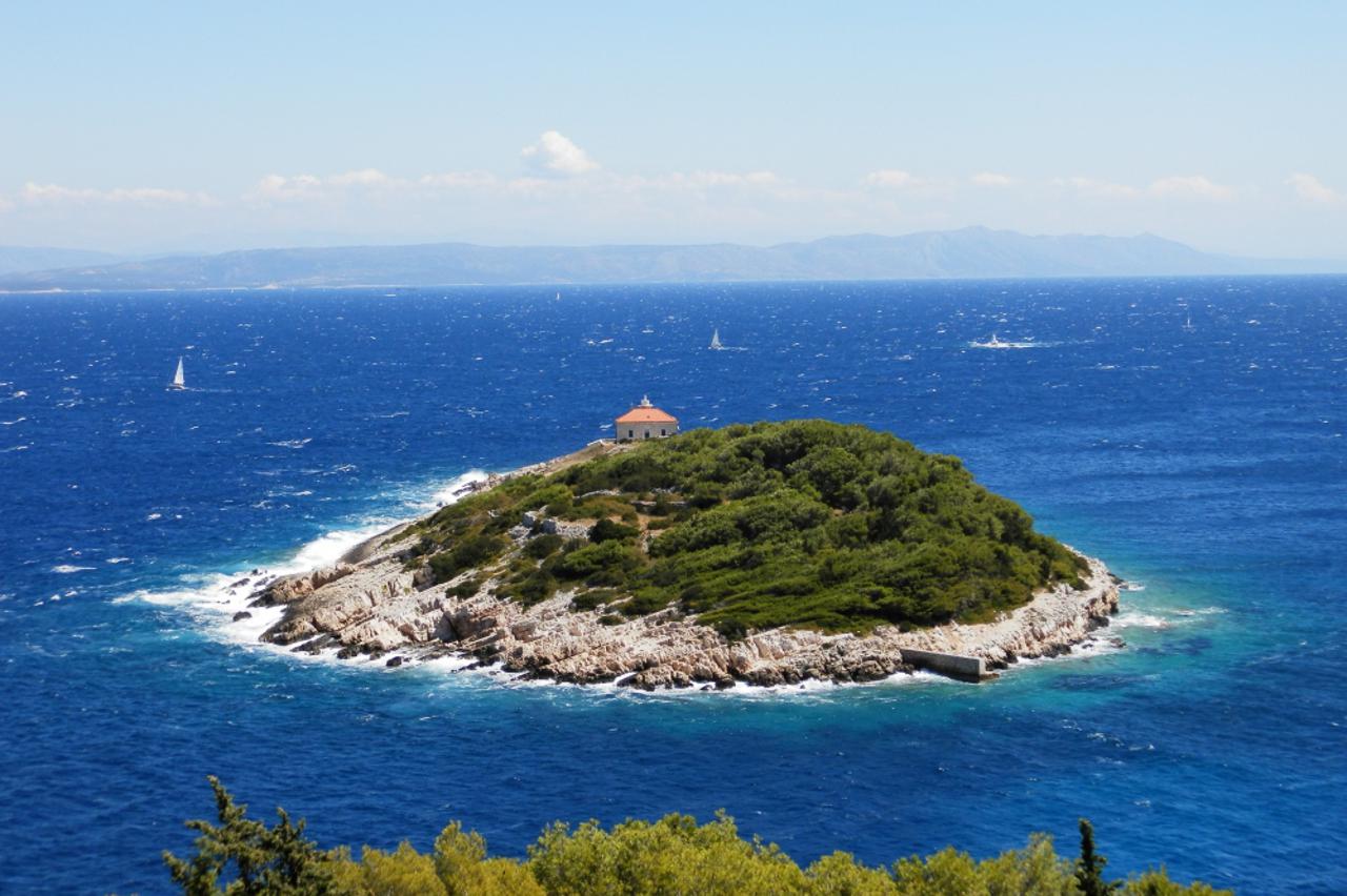 Vis  (1)