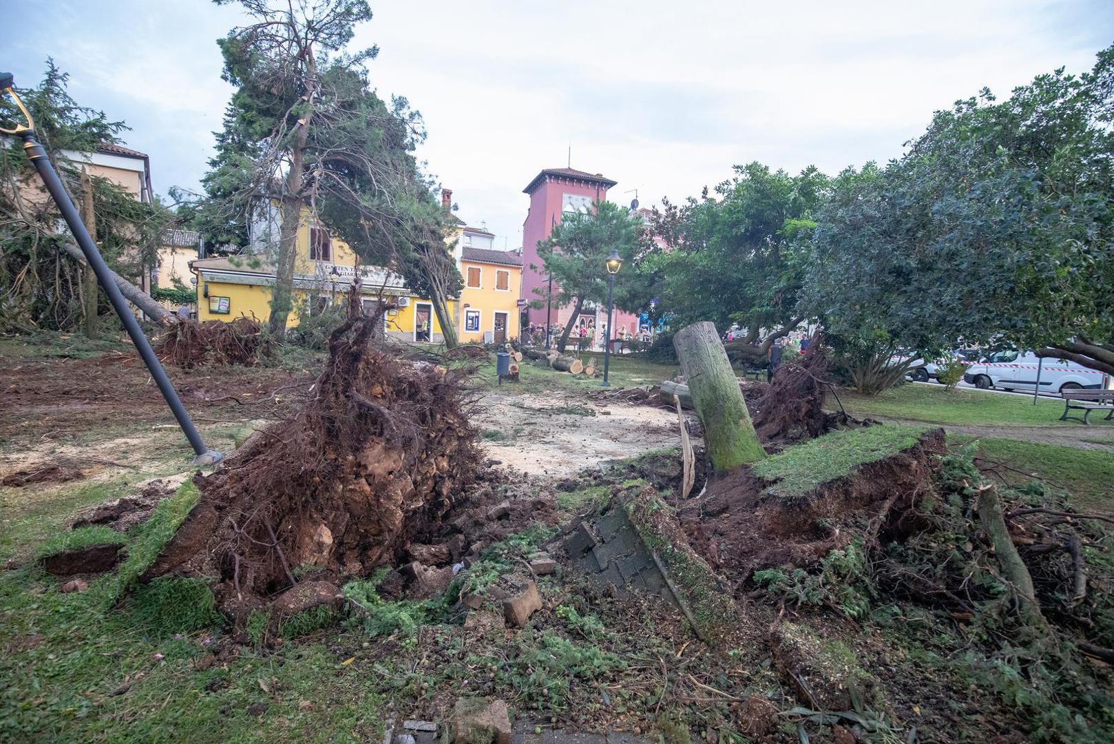 U centru grada iščupano je više stabala