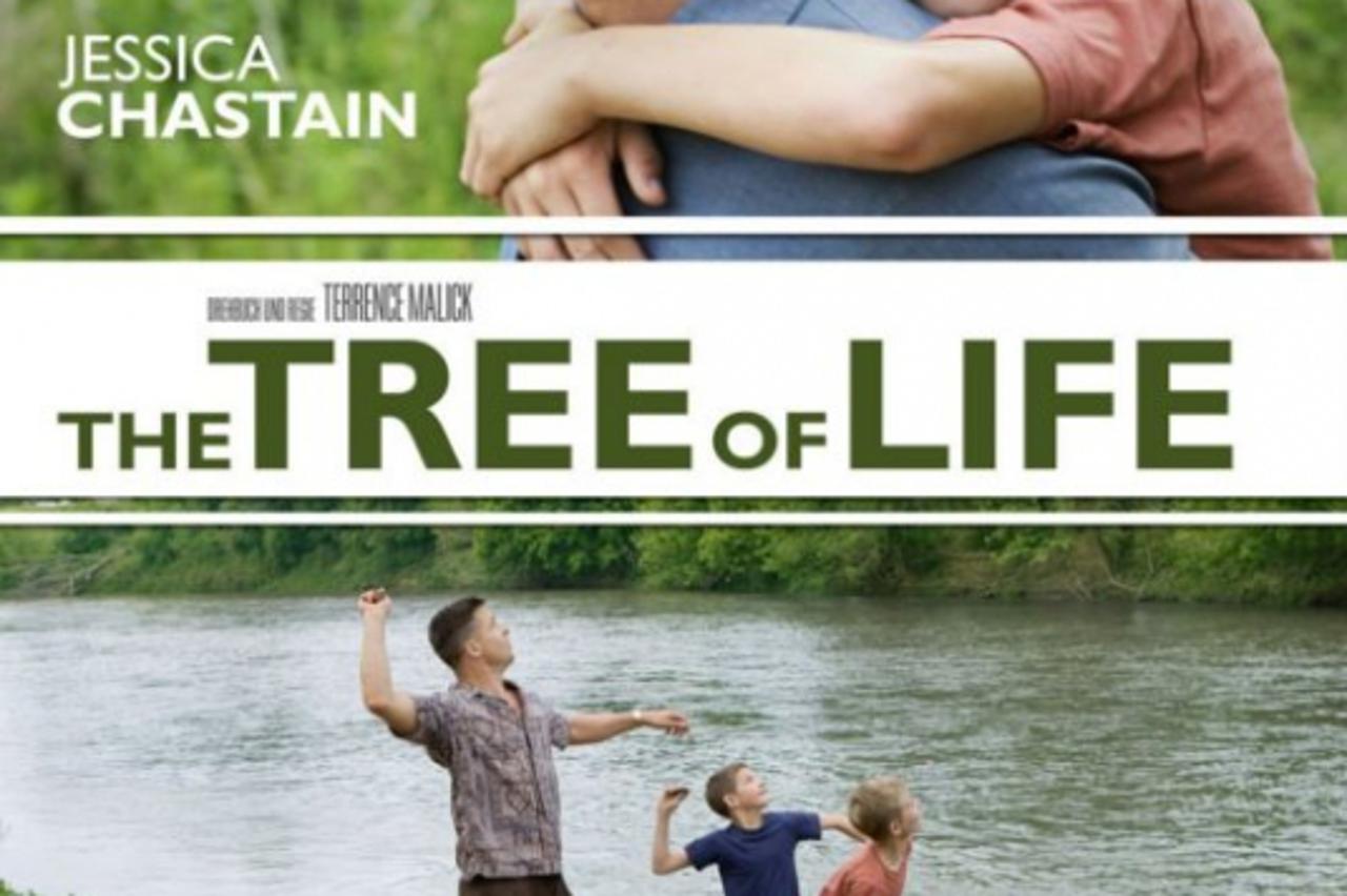 Drvo života, film, DVD  