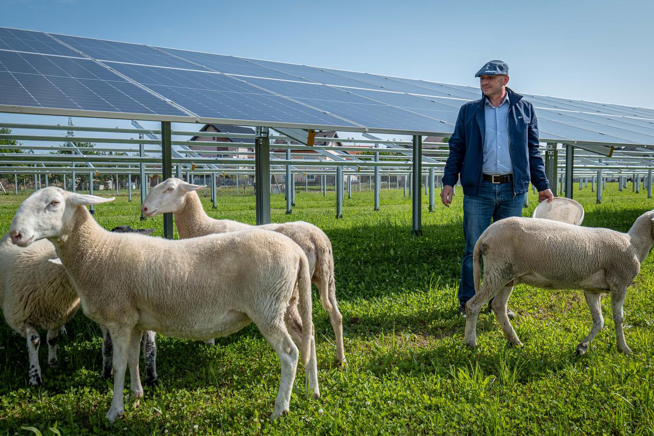 Agrosolarna farma