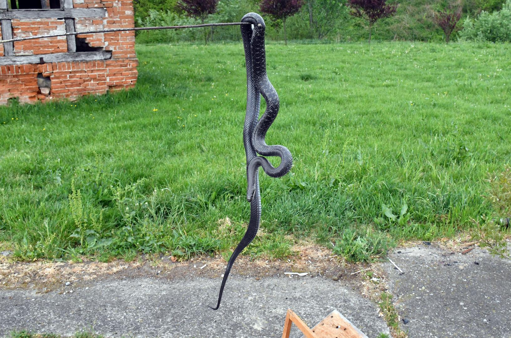 29.04.2020., Slavonski Brod - Darko Karamazan i Vlado Ladjrevic iz Sumeca pokraj Slavonskog Broda osnivaci su Udruge za  zastitu zivotinja "Zmijolovac", jedine u Hrvatskoj koja se bavi zastitom zmija otrovnica s naglaskom na posebno zasticene zivotinjske vrste, gmazove - zmije i druge zivotinje. Photo: Ivica Galovic/PIXSELL