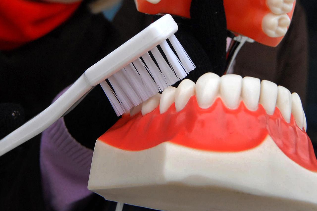zubi,četkica