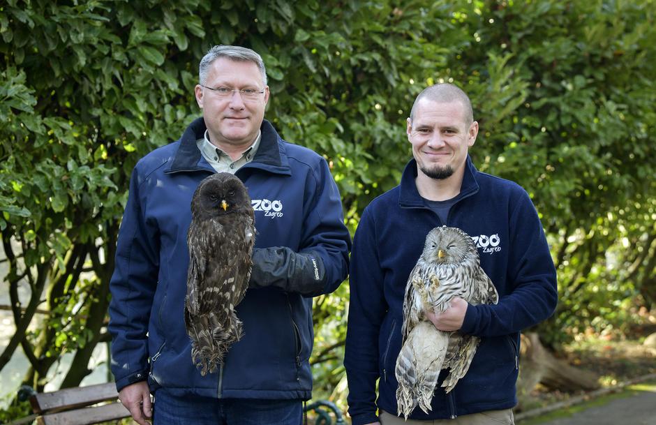 Zagreb: Ozlijeđene sove koje se nalaze na liječenju u Zoološkom vrtu
