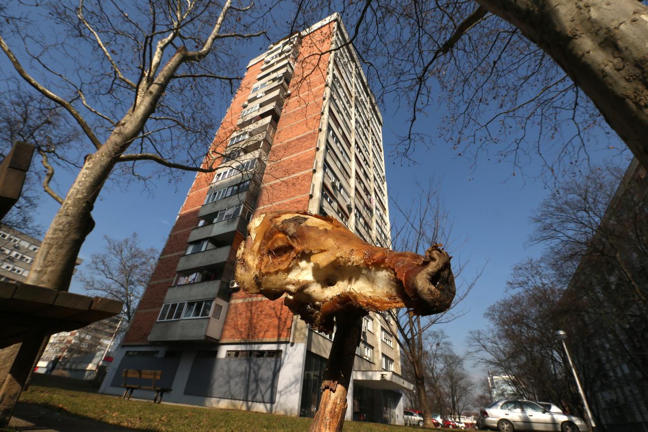 17.02.2017., Zagreb - Na Kneziji nemarni stanari bacaju otpad kroz prozor. U obliznjem je parku, gdje se uglavnom igraju djeca, osim trulog voca i povrca, zvrsila i glava pecenog odojka. Photo: Robert Anic/PIXSELL