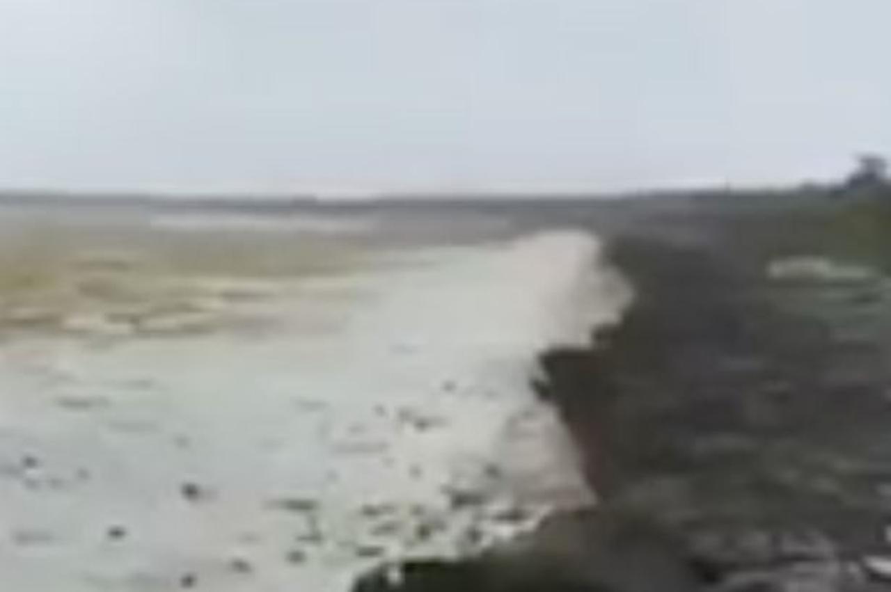 Irma