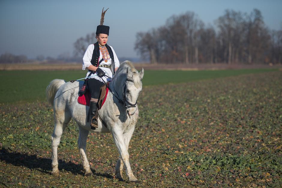 Lipicanci su ponos Lipika i Đakova