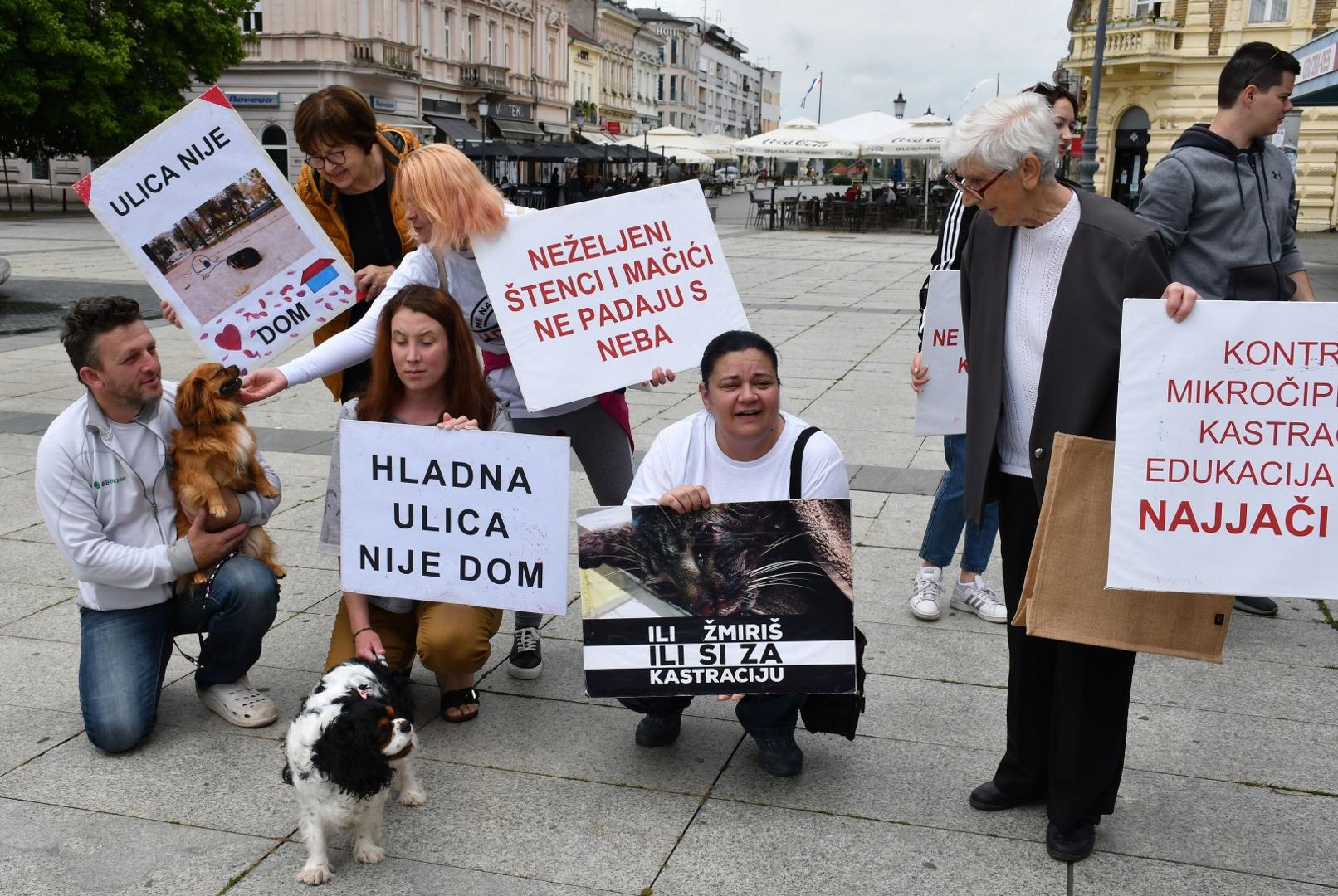 20.06.2020. Slavonski Brod - Prosvjedni skup ljubitelja zivotinja Ulica bez lutalica. Photo: Ivica Galovic/ PIXSELL