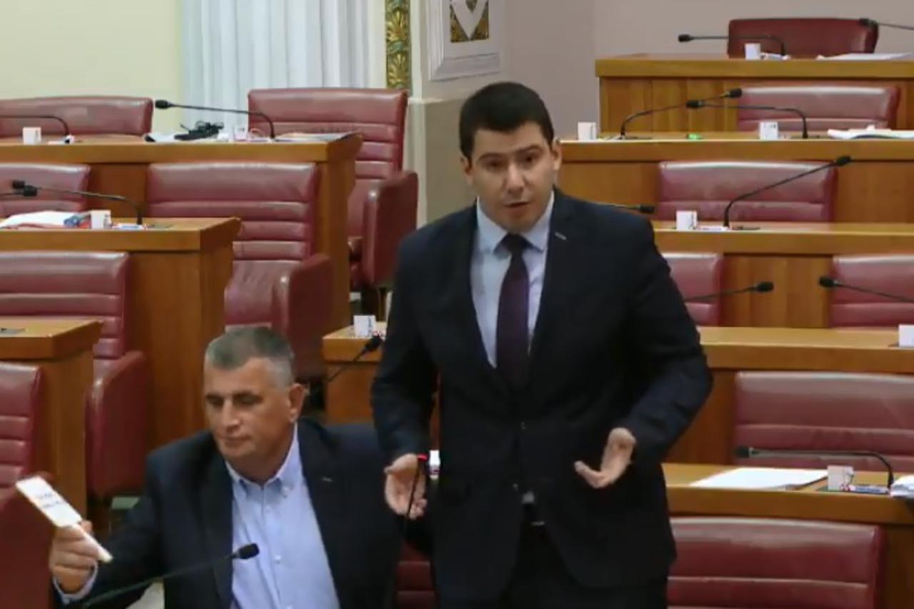 Nikola Grmoja u Saboru