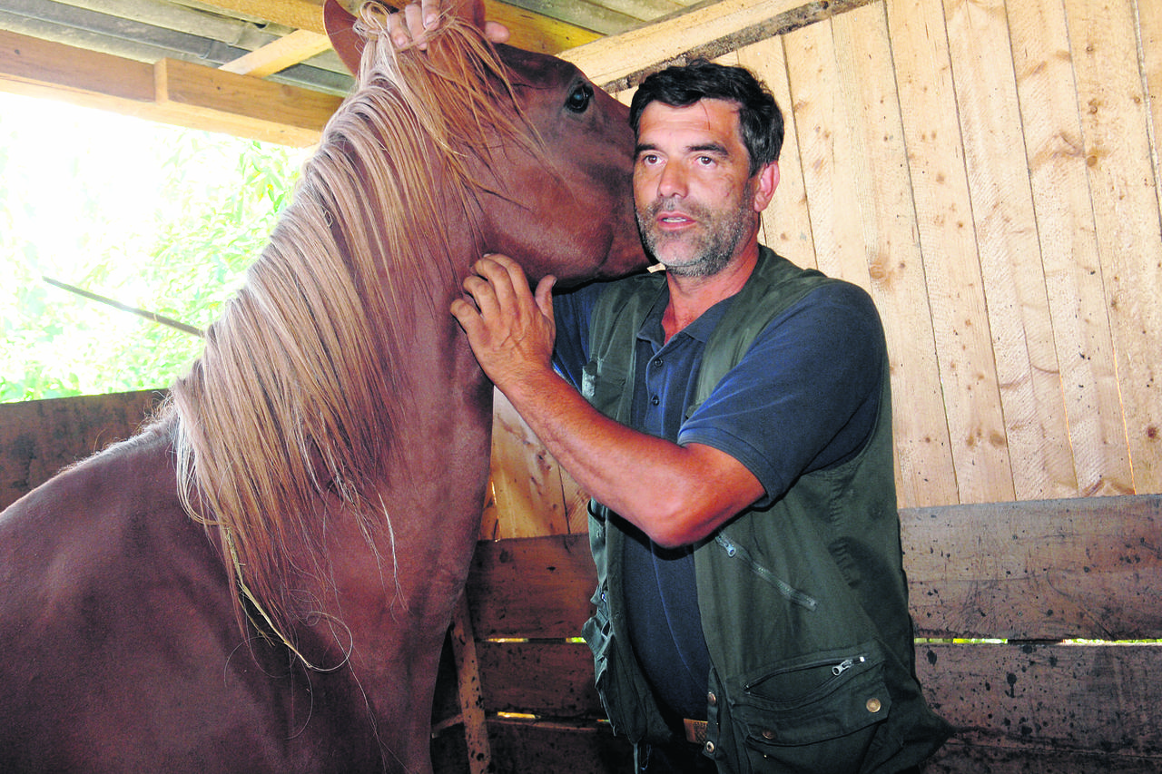 Vlado Vohralik i izbodeni konji