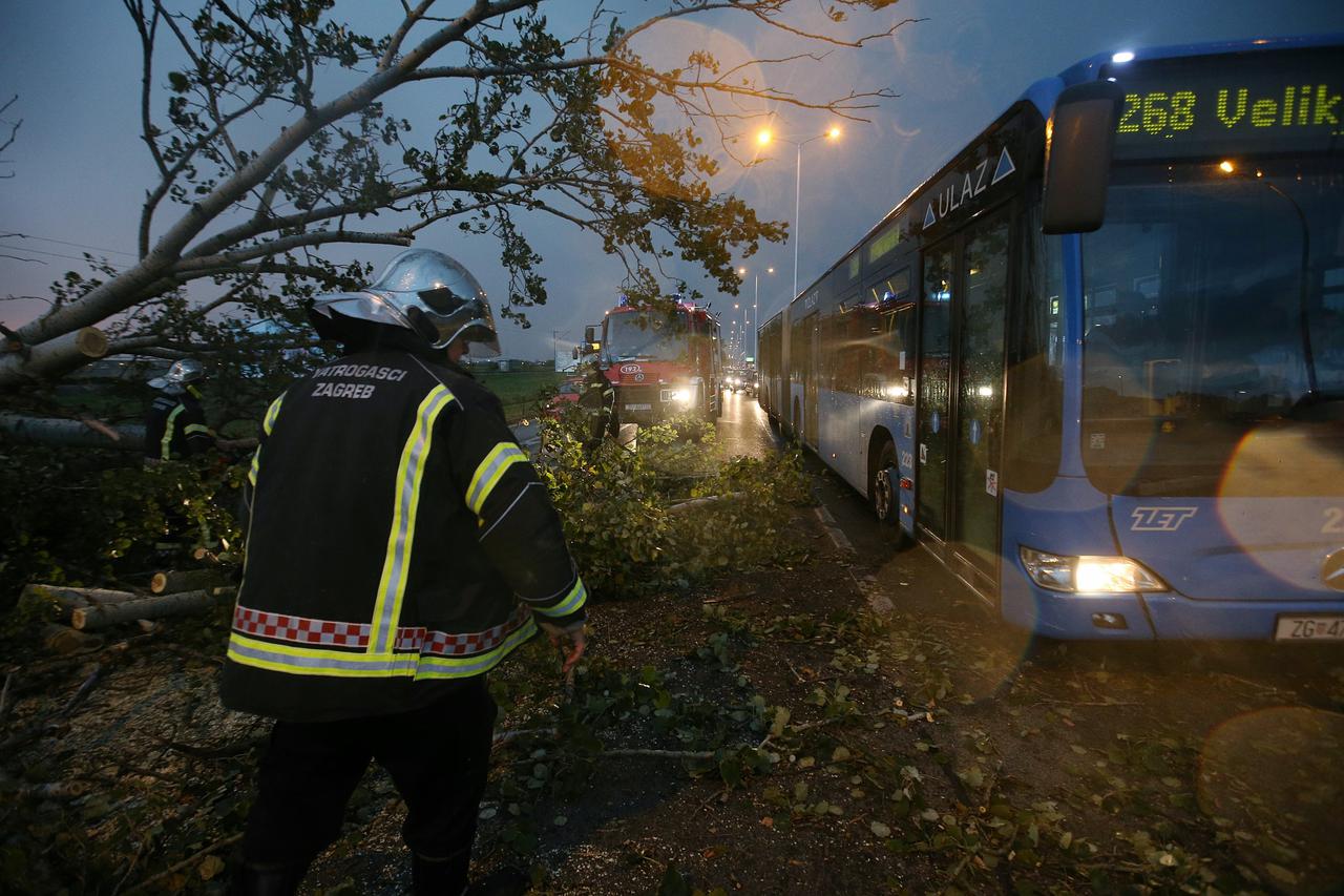 Zagreb: Vatrogasci uklonili drvo koje je olujni vjetar srušio na Av. Većeslava Holjevca