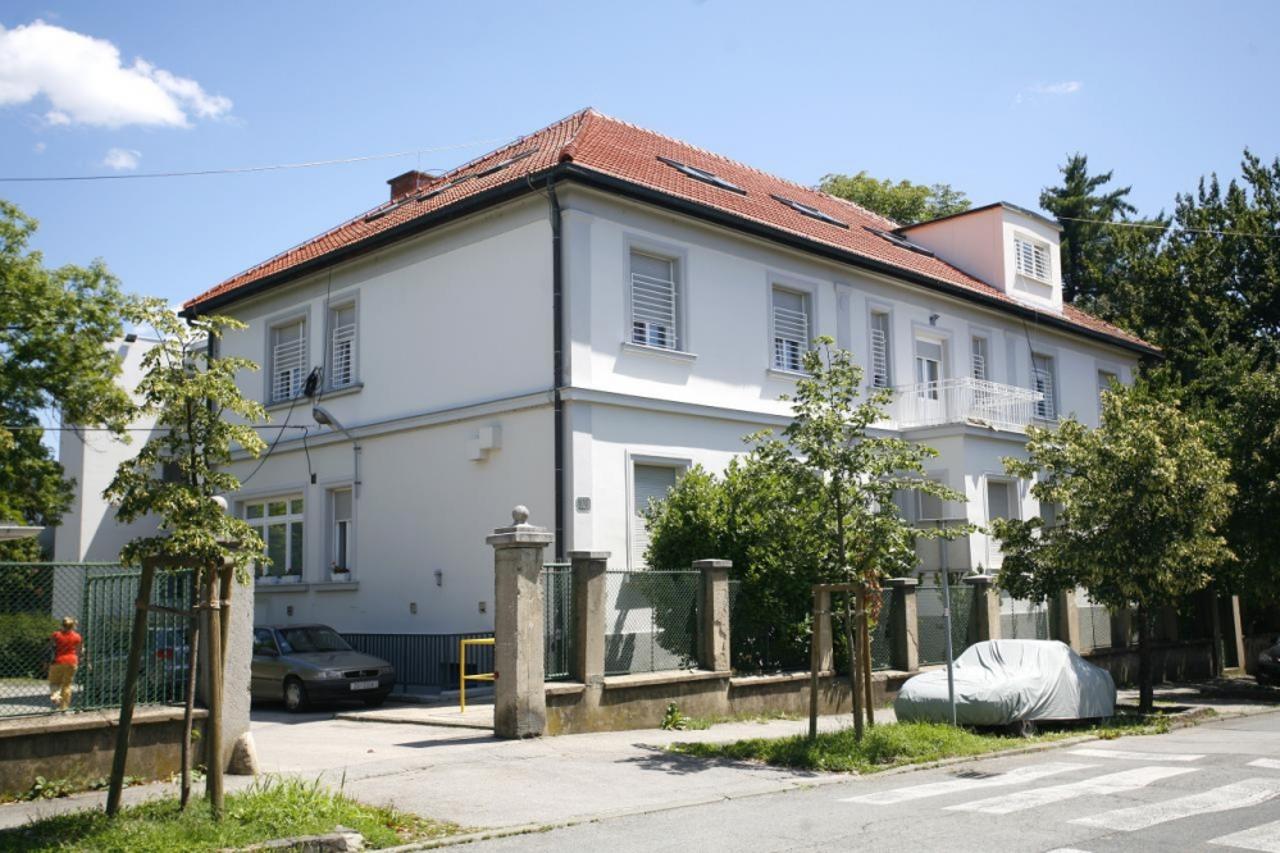 srebrnjak