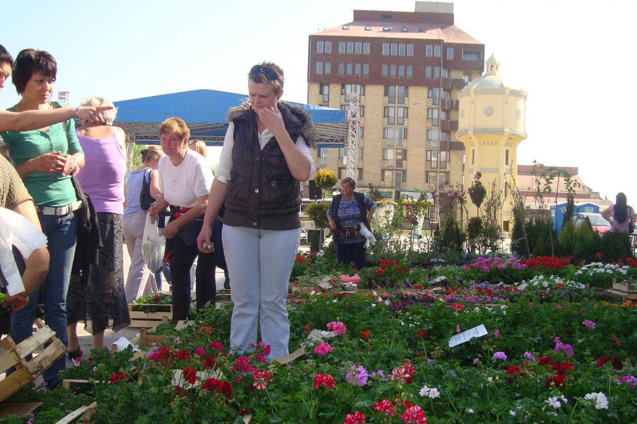 sajam cvijeca,vukovar