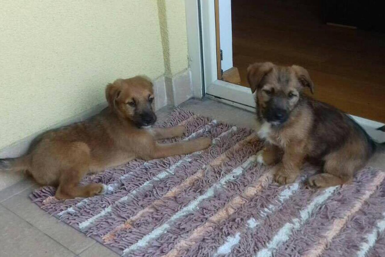 Mirka i Slavka