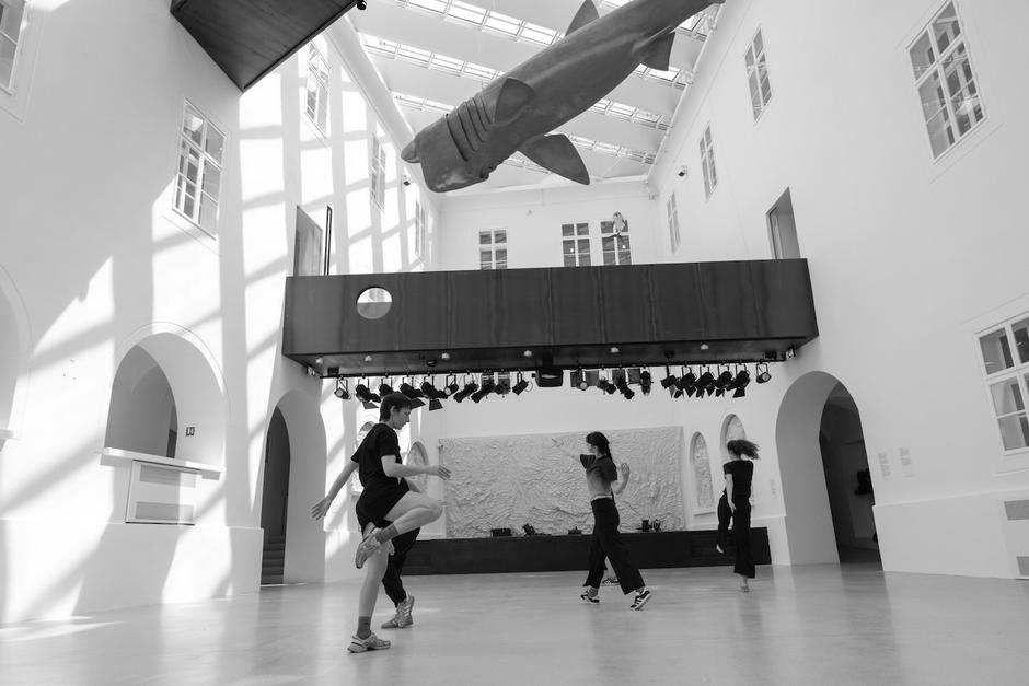 "Rekonstrukcije: koreografske intervencije na strukturi površine – trajanje, erozija, akumulacija, nestajanje"