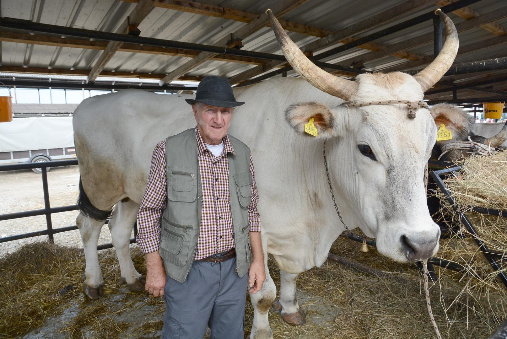 Mario Udovičić iz malenog istarskog sela Radetići doveo je najvećeg sajamskog vola Boškarina teškog preko 1300 kilograma; ova vrsta goveda postala je sinonim opstojnosti istarskog seljaka kroz stoljeća