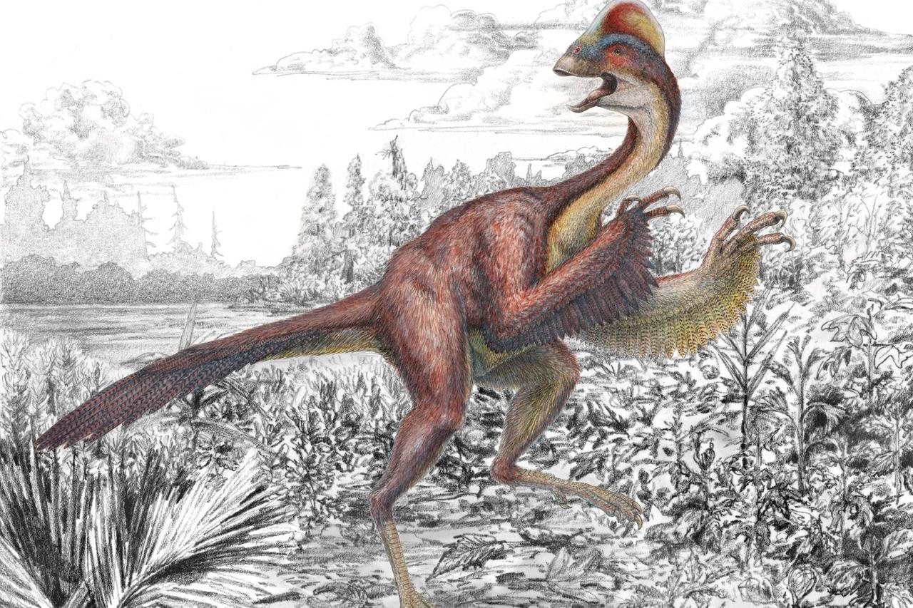 dinosaur,kokoš iz pakla