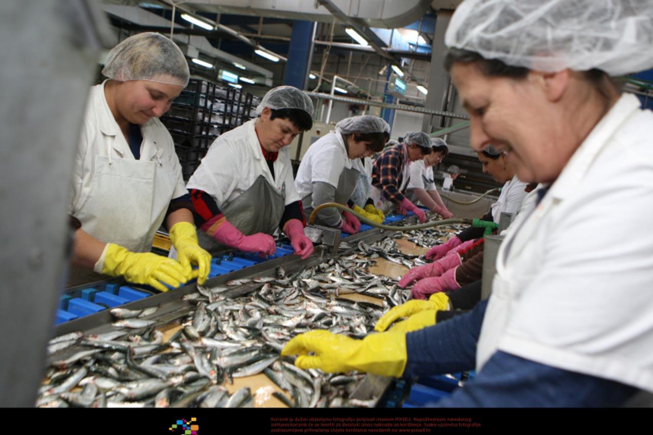 '28.02.2012., Postira - Mislav Bezmalinovic, predsjednik uprave  Sardina d.o.o. Proizvodni pogon u Postirama. Photo: Ivo Cagalj/PIXSELL'