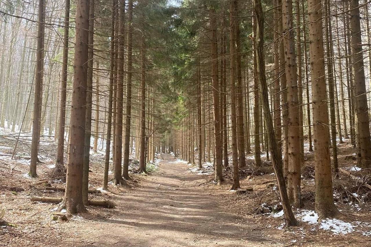 Samoborsko gorje