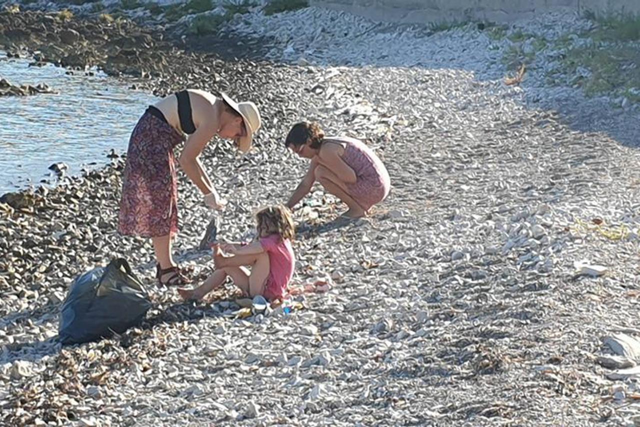 Stranci čiste hrvstku plažu