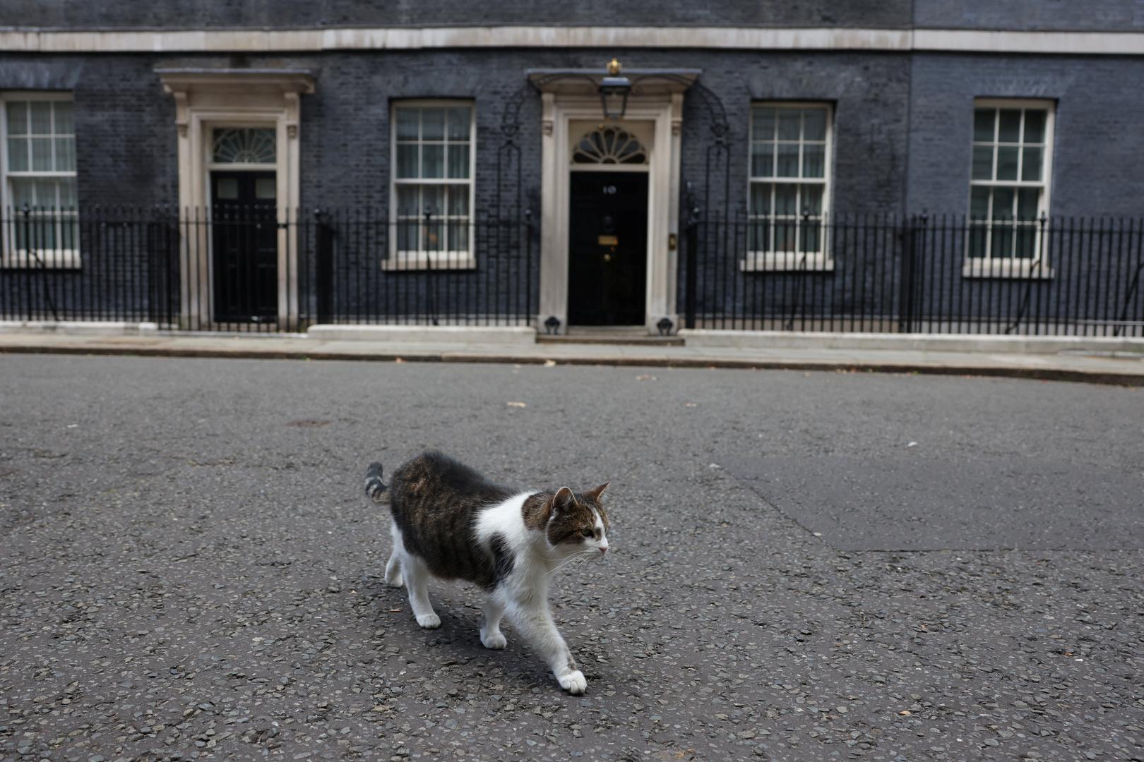 Larry je prijateljski raspoložen prema novinarima koji prate politiku. Ali njegova izvedba u tom odjelu i nije bila baš tako dobra, unatoč nekoliko ranih uspjeha.