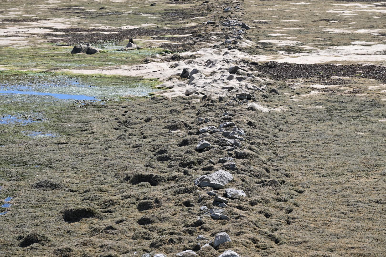 Zbog velikih površina dubokog i raskvašenog mulja dio hrvatske strane trenutačno je teško ili nemoguće sigurno pregledati, pa još nije moguće procijeniti konačne razmjere štete i posljedice za ekosustav.