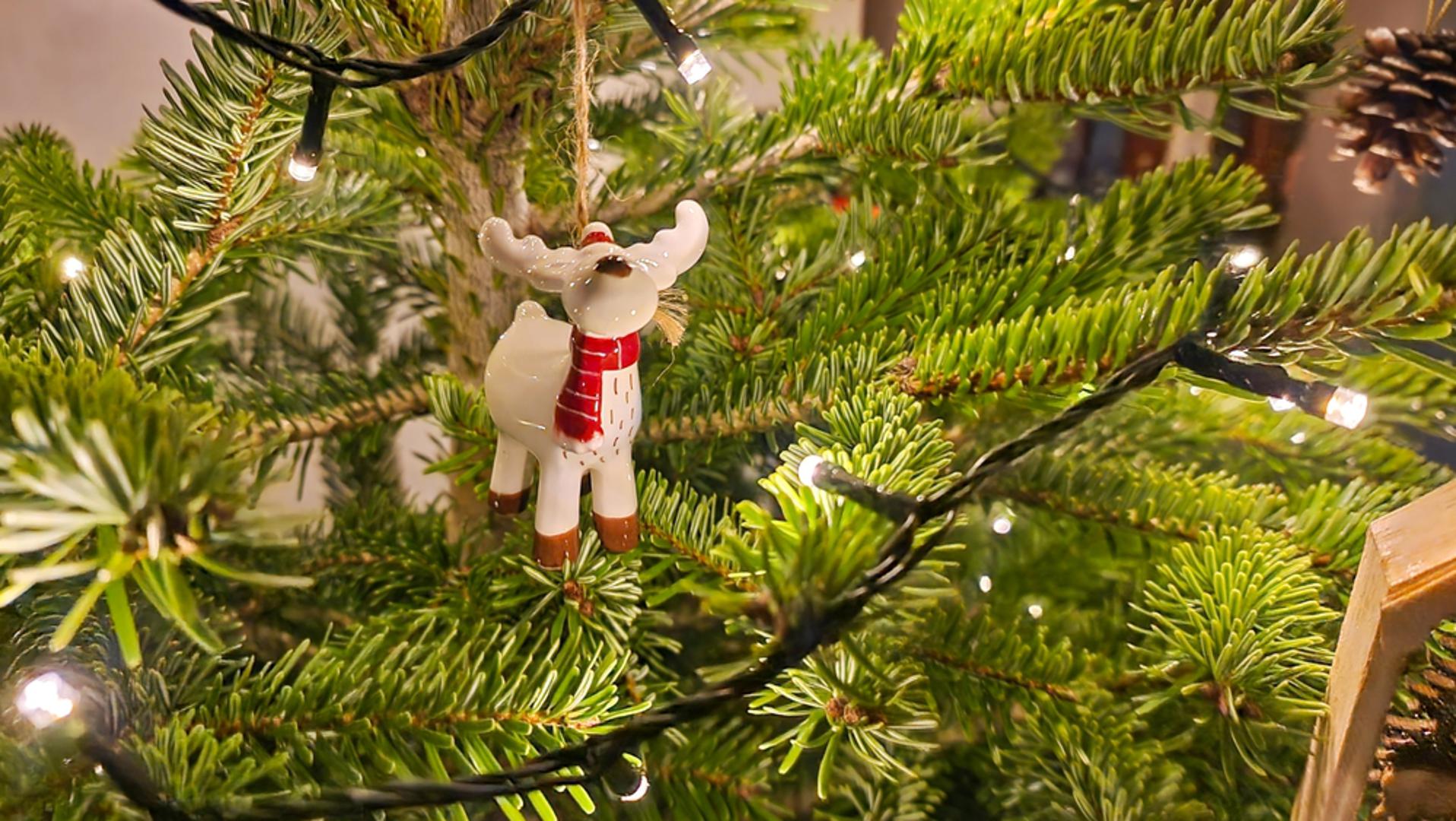 Nekad su se na granama nalazile jabuke, orasi, kolačići i svijeće, a danas su to lampice i kuglice svih boja, uz poneku ukrasnu uspomenu koja se prenosi iz godine u godinu. No, treba li božićno drvce uvijek biti pravo stablo? Čini se kako ne mora, a uz tradicionalnu, evo još nekih popularnih ideja.