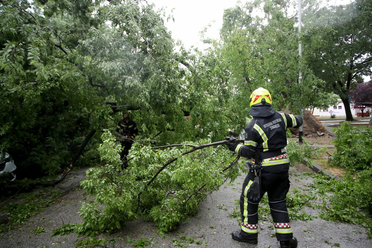 Zagreb: Na četiri automobila srušilo se stablo tijekom nevremena