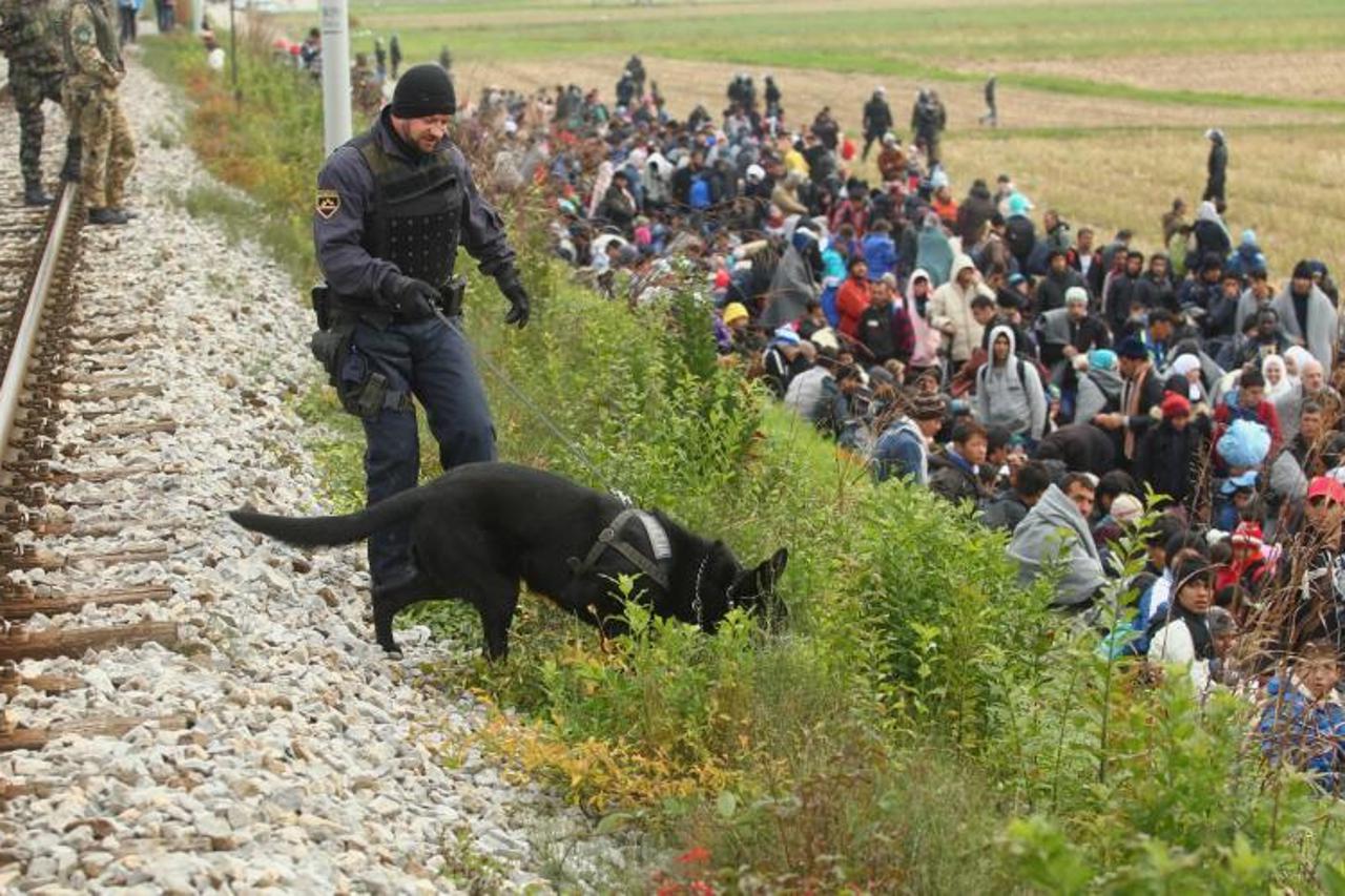 izbjeglice, migranti