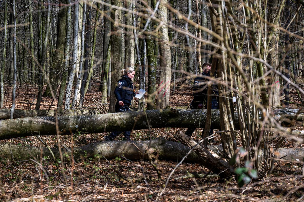 Tree falls over - three dead near Flensburg