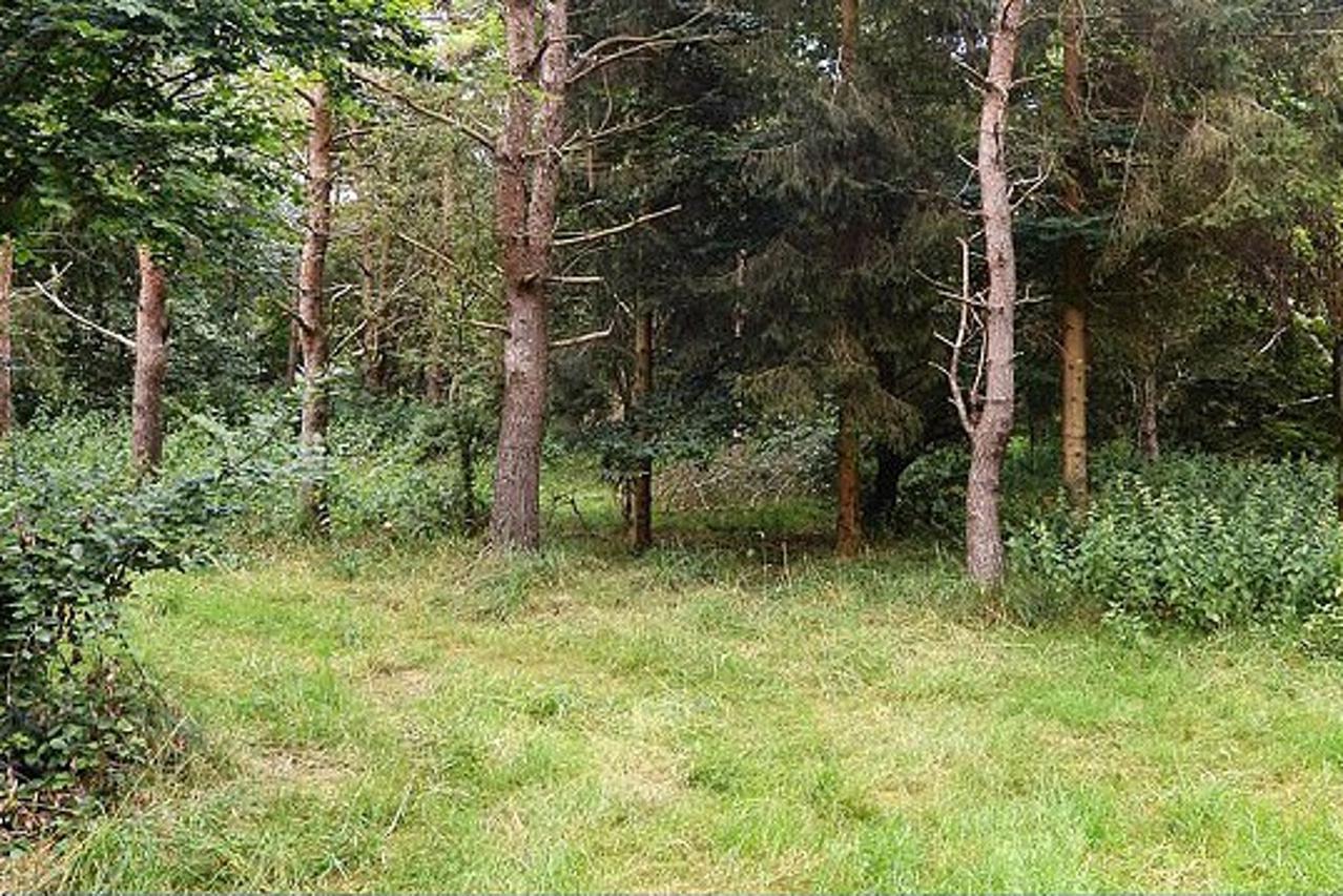 Vidite li snajperiste na fotografiji?