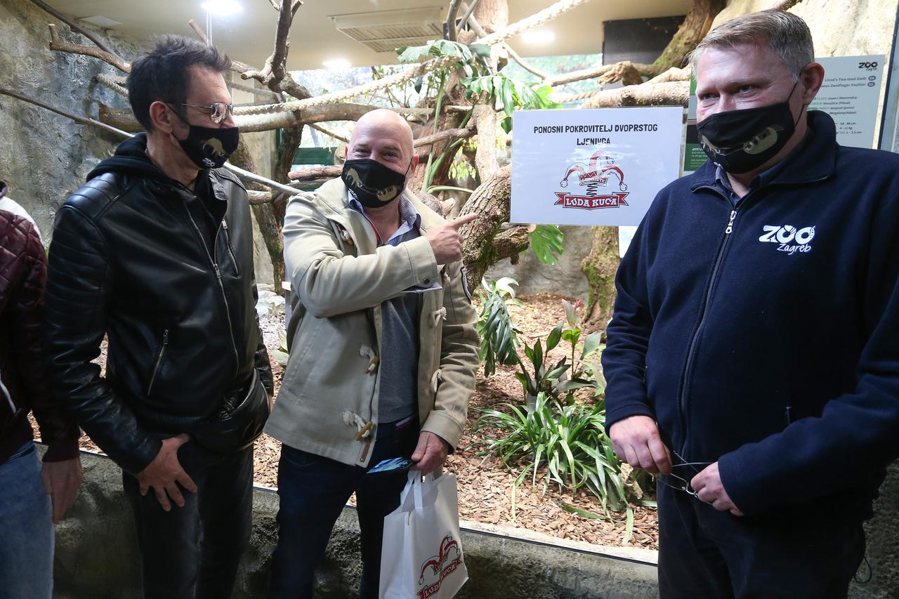Zagreb: Na Međunarodni dan ljenivaca Zoološki vrt predstavio par dvoprstih ljenivaca