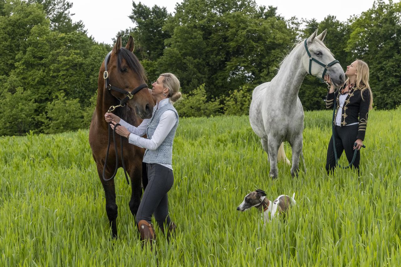 Konjički resort Pule