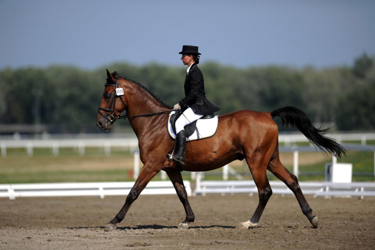 '06.08.2011.Zagreb  -  Croatia cup u Dresurnom jahanju na Zagrebackom Hipodromu , jahacica Rea Bingula  na konju Norton . Photo: Daniel Kasap/PIXSELL'