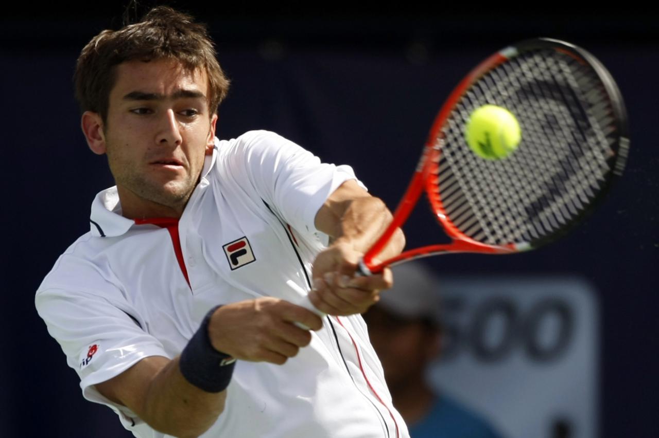 Marin Čilić