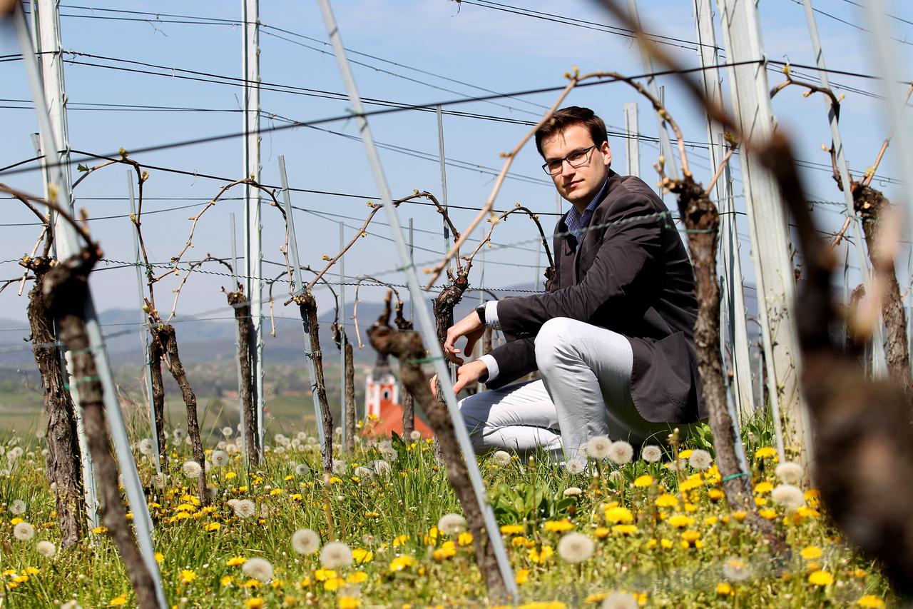 Josip Vrbanek,vino