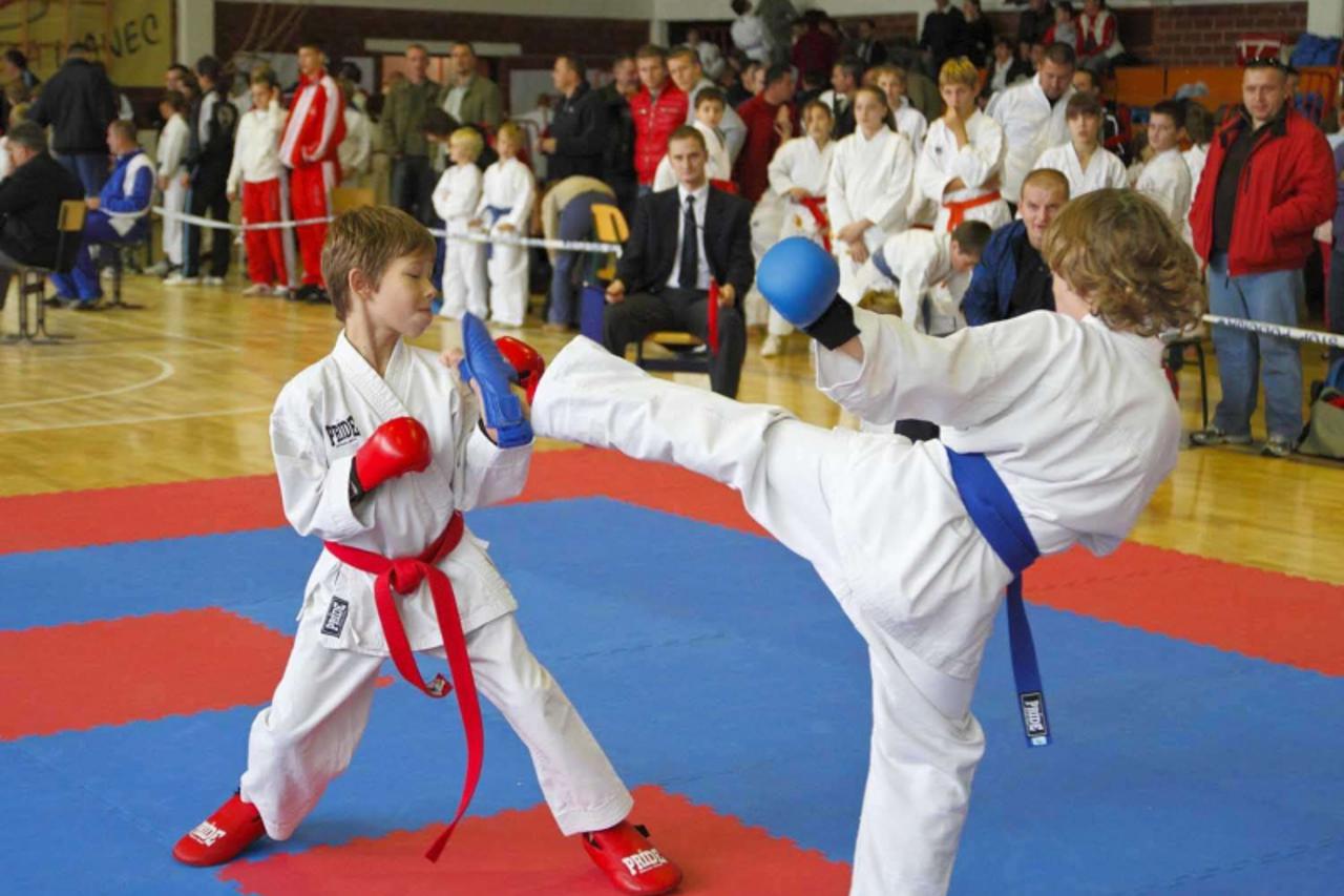 'turnir04_ljr_var_021110'