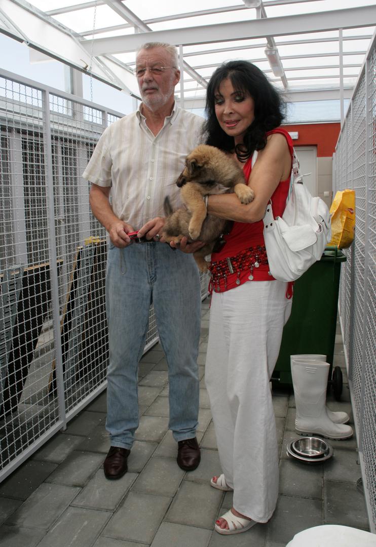 Već na samoj audiciji za taj kultni film, svojom je pojavom osvojila produkcijski tim i osigurala ulogu konobarice Belle.