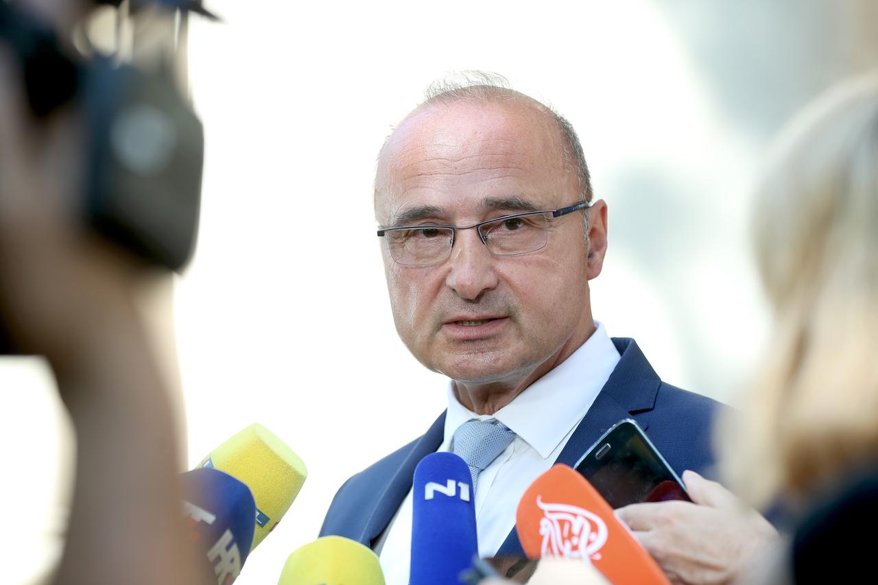 Goran Grlić Radman na konferenciji o suspenziji Elizabete Mađarević
