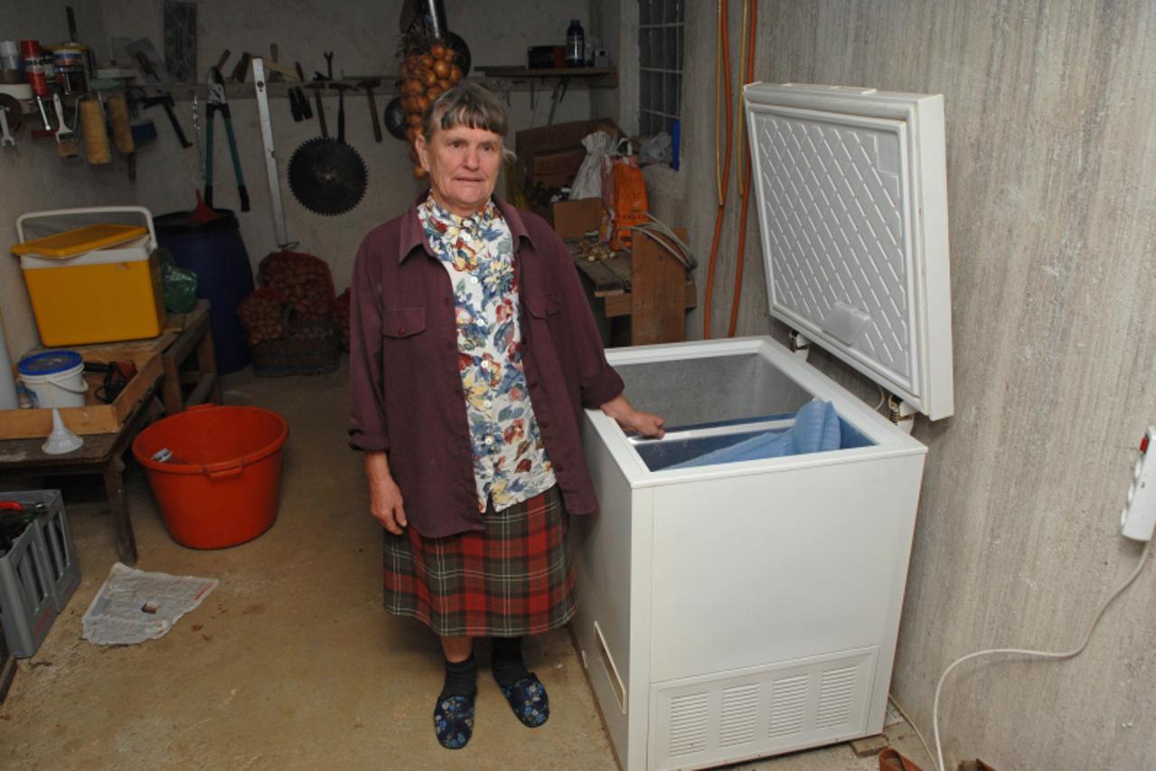 '01.09.2010. Slatina Svedruska, Petrovsko - Na slici: Ana Vdovic stoji pored nove skrinje koja se pokvarila zbog slabe opskrbe njihovog sela elektricnom energijom. Photo: Matija Topolovec/PIXSELL'