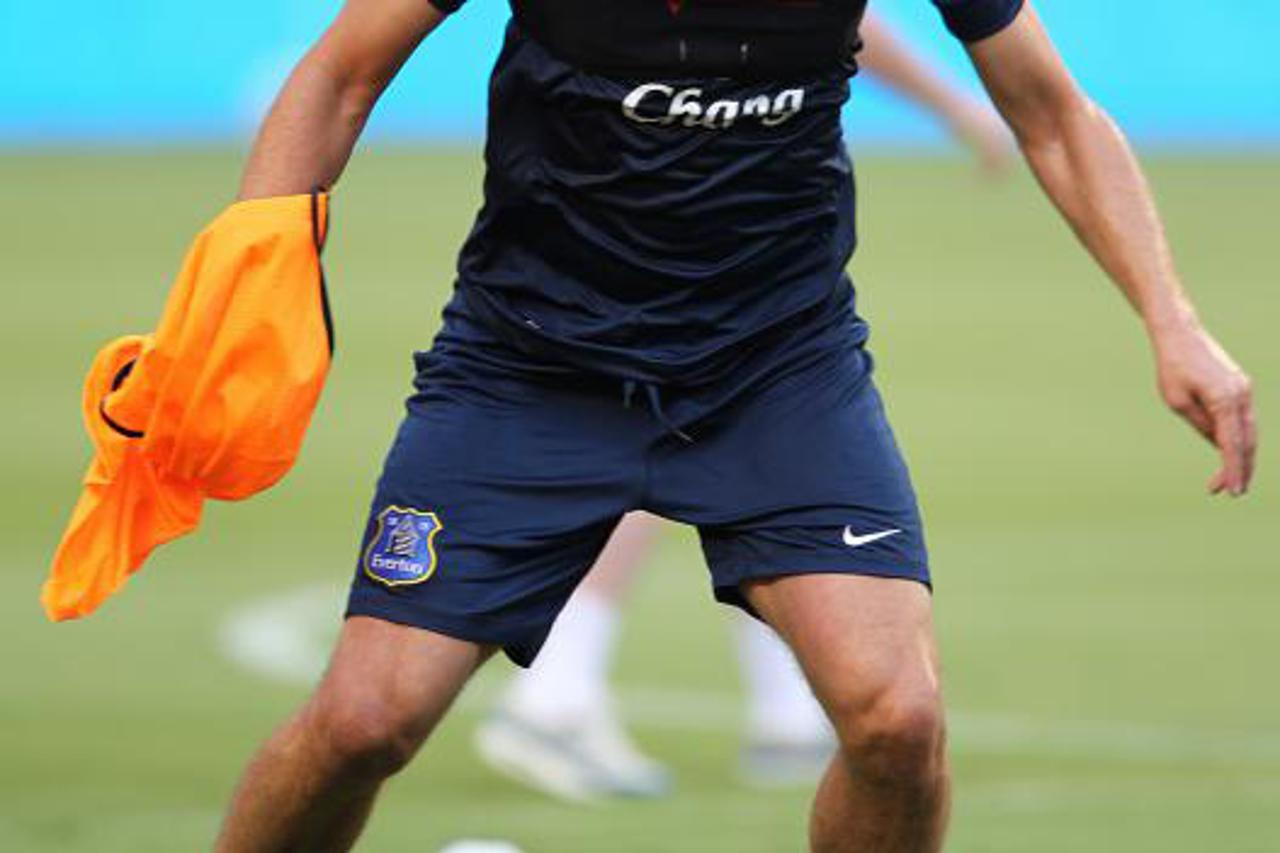 Nikica Jelavić