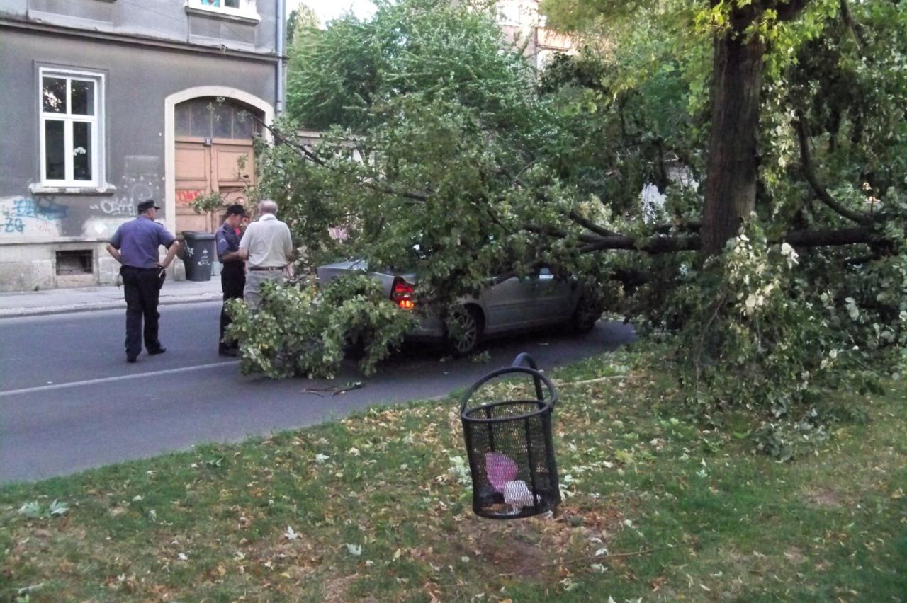 oluja u zagrebu,palo drvo (1)