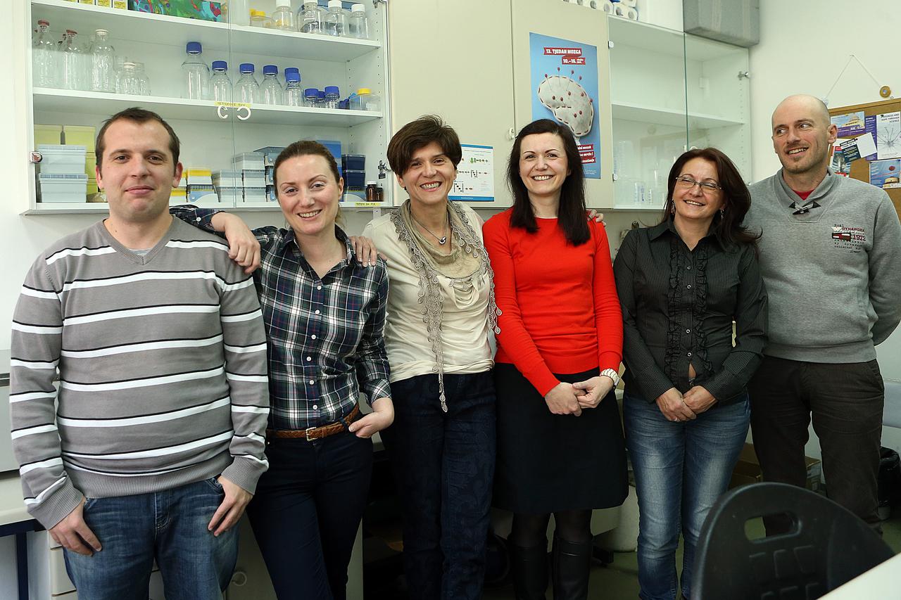 28.10.2014., Zagreb - Prof. Silva Katusic Hecimovic s Instituta Rudjer Boskovic sa svojim timom radi na svjetskom istrazivanju Alzheimerove bolesti.  Photo: 