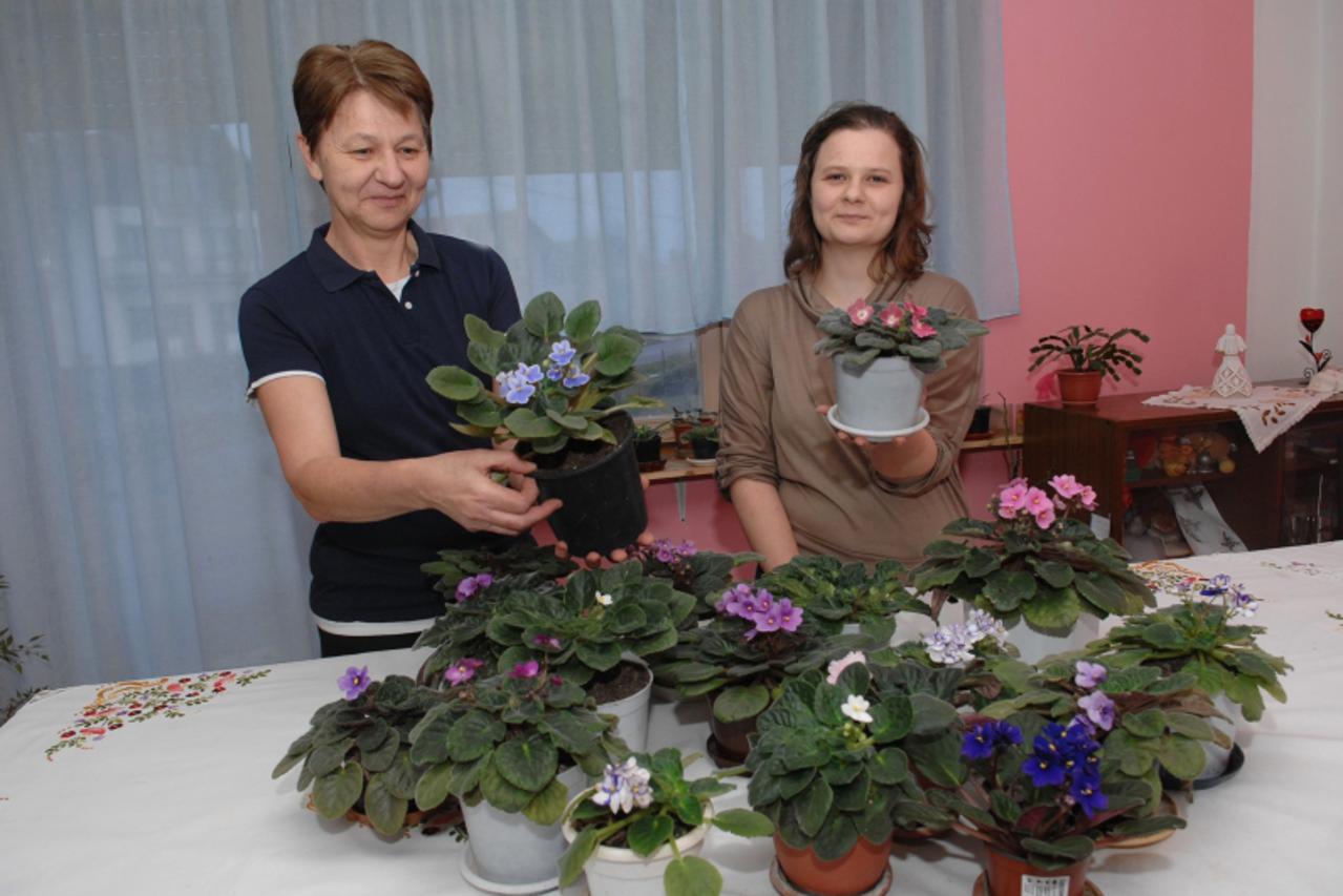 '18.02.2013., Bjelovar, Brezovac - Kcer Kristina Gibanjek (D) i Stefica  Gibanjek (L) velike su ljubiteljice kucnih biljkaka, kojih u svojoj kuci u Brezovcu pokraj Bjelovara imaju mnogo, a posebno su 