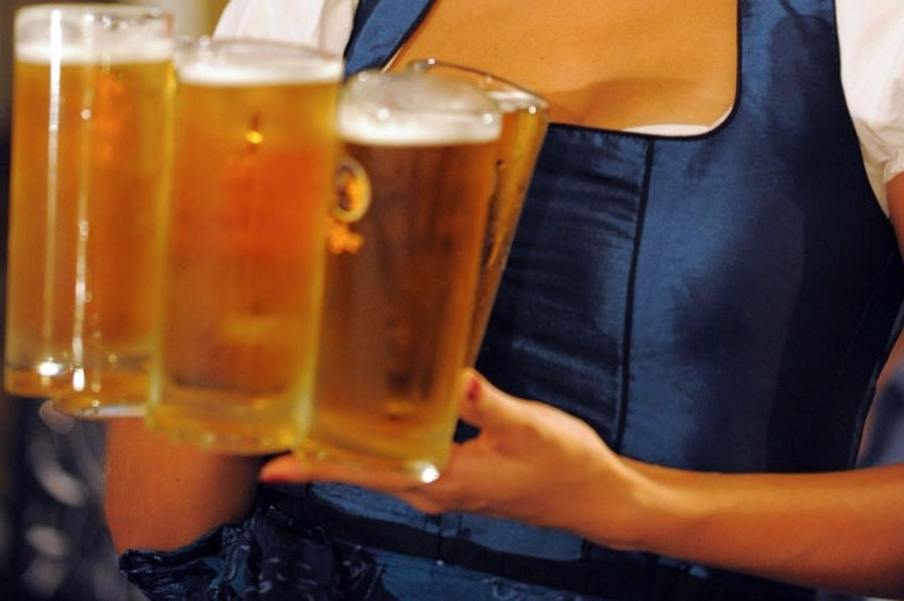 pivo