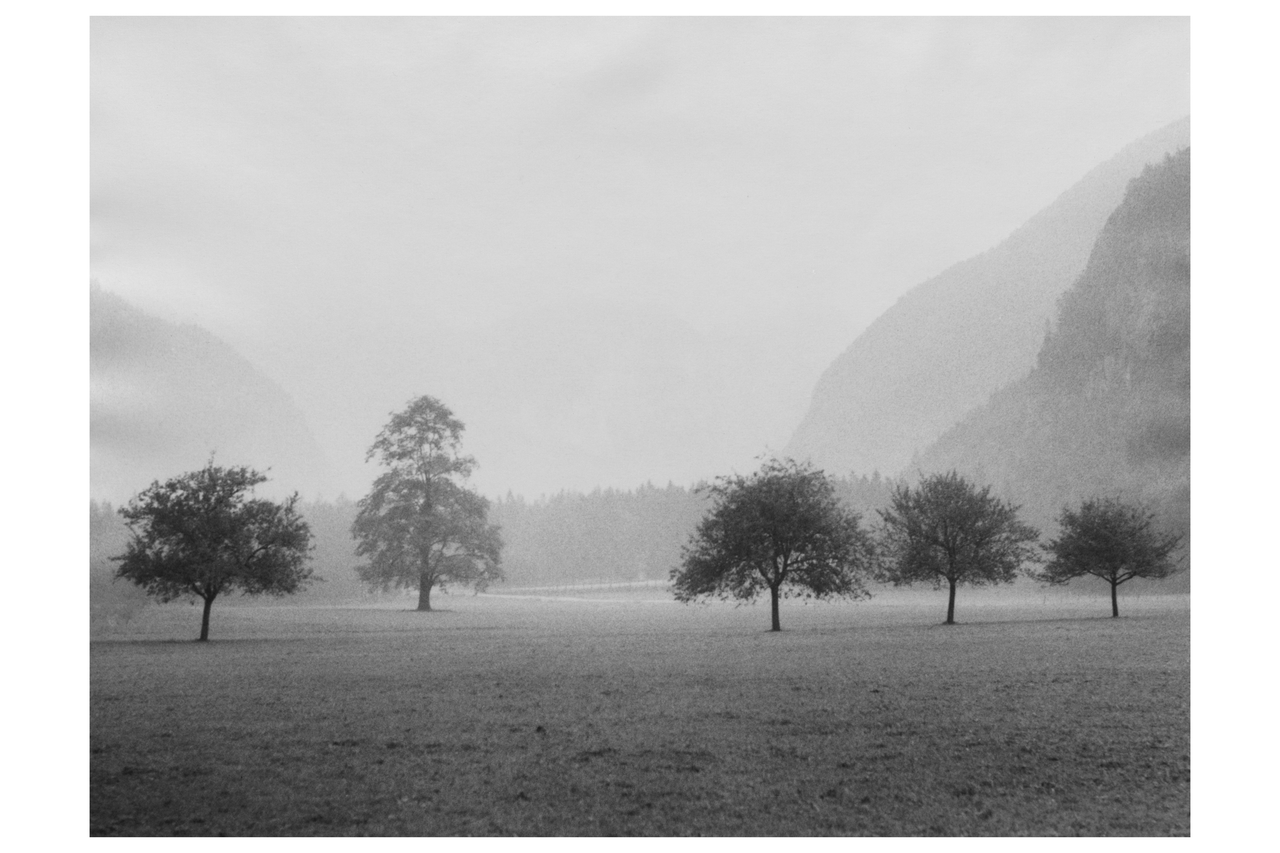 Izložba "Lica krajolika" Marije Braut