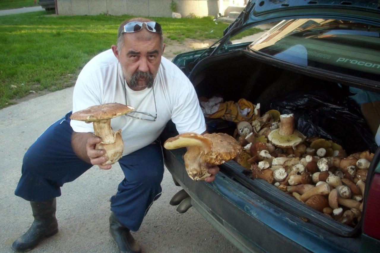 'Podravina-bilogora, 11.10.2012. Grubisno Polje R. Tregner do sada je vec nabrao stotinjak kilograma vrganja, no upozorava na krajnji oprez pri branju i konzumiranju gljiva  Michael Palijan / VLM'